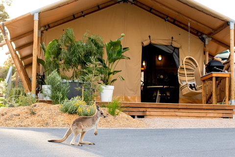 BIG4 Anglesea Holiday Park - Perth Resorts 2