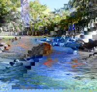 Big4 Aussie Outback Oasis Holiday Park - Accommodation Perth