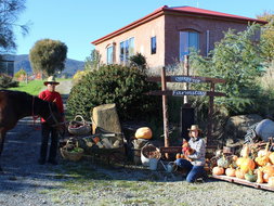 Book Hobart Accommodation Vacations Accommodation Perth Accommodation Perth
