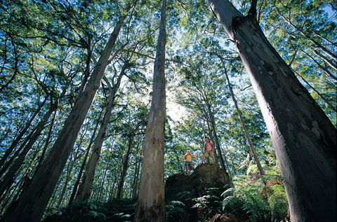 Conto Field Camp At Leeuwin-Naturaliste National Park - Accommodation Perth 1