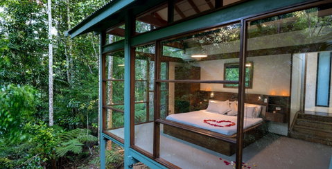 Crystal Creek Rainforest Retreat - Accommodation Perth 2