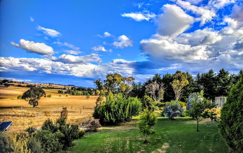 Dairy Park Farm Stay Bed And Breakfast - Accommodation Perth 1