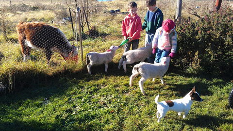 Dairy Park Farm Stay Bed And Breakfast - Accommodation Perth 2