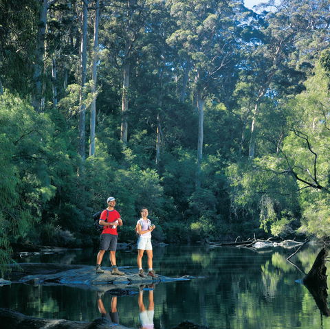 Drafty's Camp At Warren National Park - Accommodation Perth 0