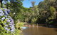 Jamieson Caravan Park - thumb 0