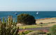 Kepals On The Coast - thumb 1