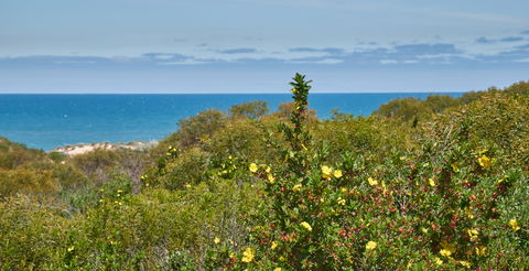 Preston Beach Front Apartment - Accommodation Perth 0