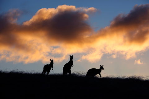 Sky House LifeTime Private Retreats - Accommodation Perth 1