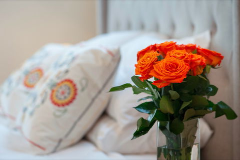 The Nest At Gundaroo - Accommodation Perth 1