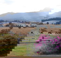 The Barn  House Farm Stay at Possum Manor - Accommodation Perth