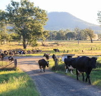 Tommerups Dairy Farmstay - Accommodation Perth