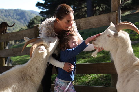 Valley View Nature Retreat - Perth Resorts 1