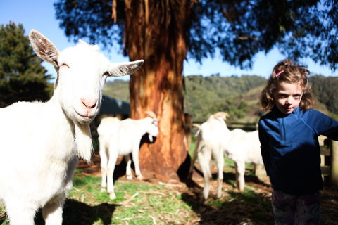 Valley View Nature Retreat - Perth Resorts 2