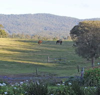 Wallaby Cottage - Accommodation Perth
