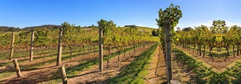 De Vine Escape - Accommodation Perth 4