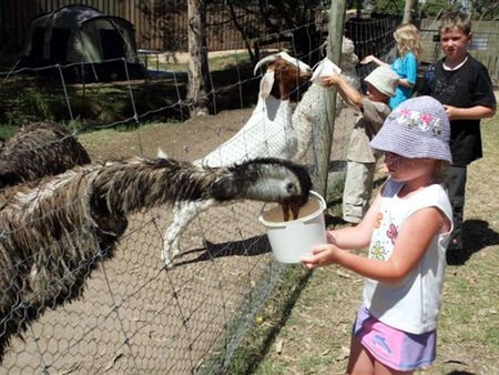 Bairnsdale Holiday Park - Accommodation Perth 2