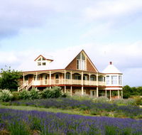 Serendipity Lavender Farm - Accommodation Perth