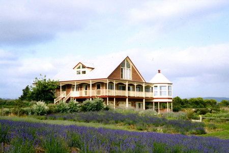 Serendipity Lavender Farm - Accommodation Perth 0