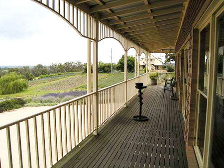 Serendipity Lavender Farm - Accommodation Perth 2