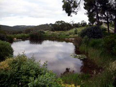 Carolins Organic Farm - Accommodation Perth 1