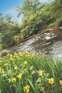 Grange Yarra Valley - Accommodation Perth 4
