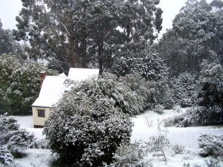 Tranquillity Cottage - Accommodation Perth 0