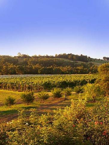 Wallace Heritage Homestead - Perth Resorts 5