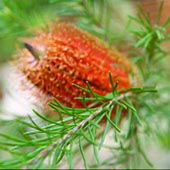 Wide Horizons Bed And Breakfast - Accommodation Perth 3