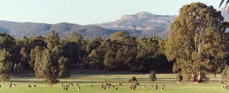Wartook Gardens - Accommodation Perth 1