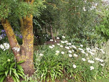 Bravington VIC Accommodation Perth