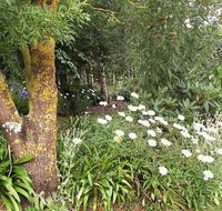 Springbank Bed and Breakfast - Accommodation Perth