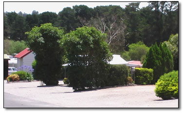 Wantirna Park - Accommodation Perth 5