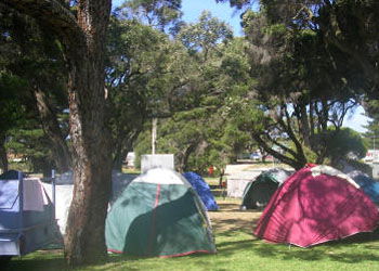 QueenscliffeTourist Park - Accommodation Perth 2