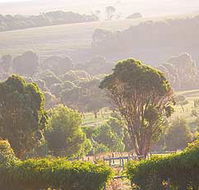Mackas Farm - Accommodation Perth