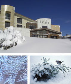 Chalet Hotham - Accommodation Perth 0