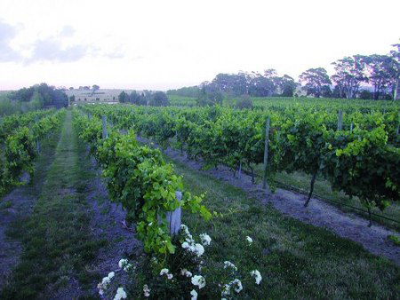 Glen Erin At Lancefield - Accommodation Perth 3