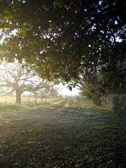 Corinella Country House - Accommodation Perth 4