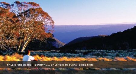 Alpine View Apartments - Accommodation Perth 1