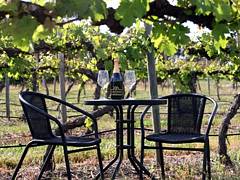 De Vine Escape - Accommodation Perth 2