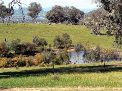 Gaddleen Grove Cottages - Accommodation Perth 5