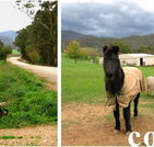 Emerald Park Holiday Farm - Accommodation Perth