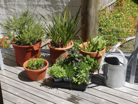 Stephanies At Onion Bay - Accommodation Perth 4