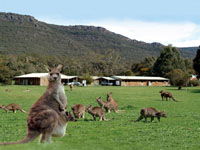 Halls Gap Log Cabins - Accommodation Perth 2