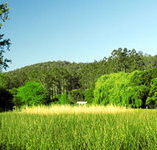 Waterholes Guest House - Accommodation Perth
