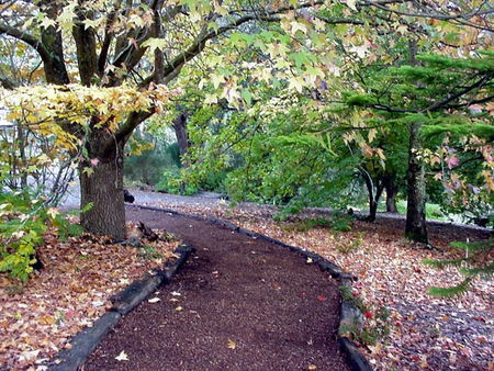 Brigadoon Cottages - Accommodation Perth 3