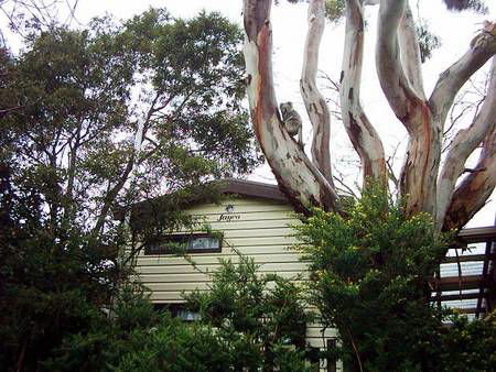 Beach Park Tourist Caravan Park - Accommodation Perth 3