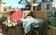 Anchor Belle Holiday Park - thumb 3
