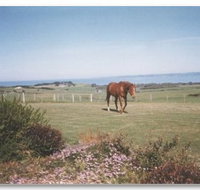 First Class Bed and Breakfast - Accommodation Perth