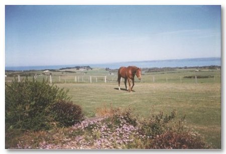 First Class Bed And Breakfast - Accommodation Perth 0