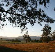 Cann River Rainforest Caravan Park - Perth Resorts